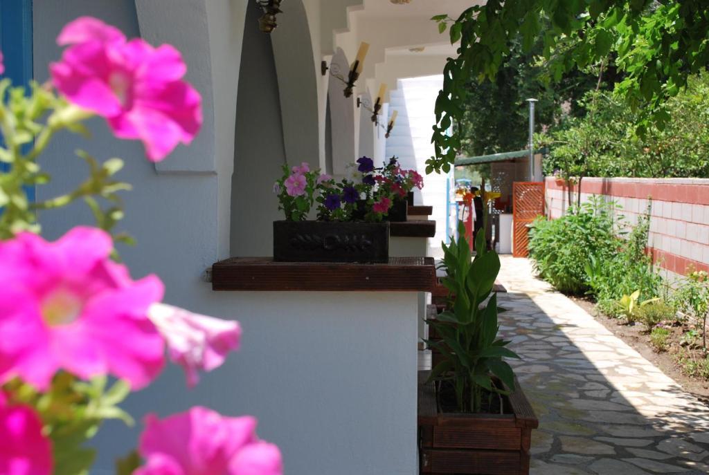 Myra Hotel Dalyan Exterior photo